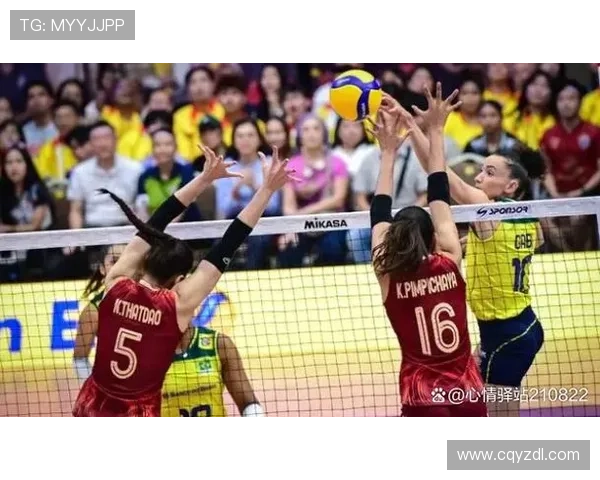 北京排球队创历史新高排球状态排名再创新高峰