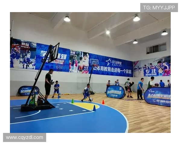 南京羽毛球队包夹战术革新探讨与未来发展展望