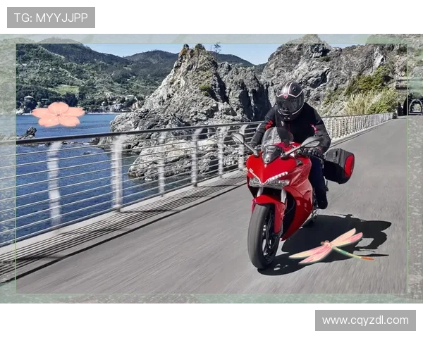 深圳篮球队战术创新引领潮流助力球队实现新高度