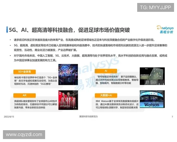 足球明星与队服的价值探讨如何影响品牌形象与市场营销策略