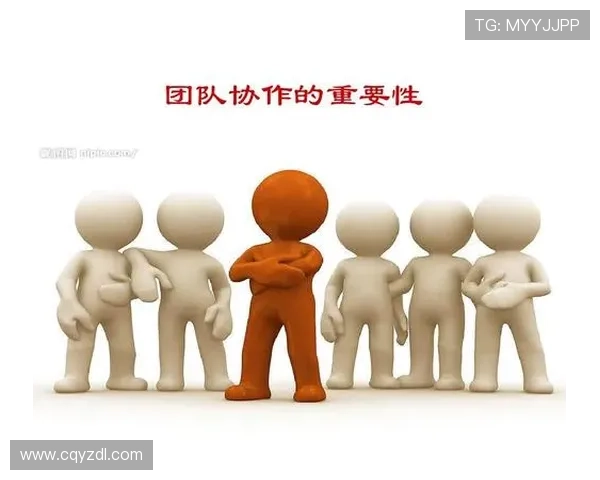 武汉网球队团队协作的创新变革与热议探讨